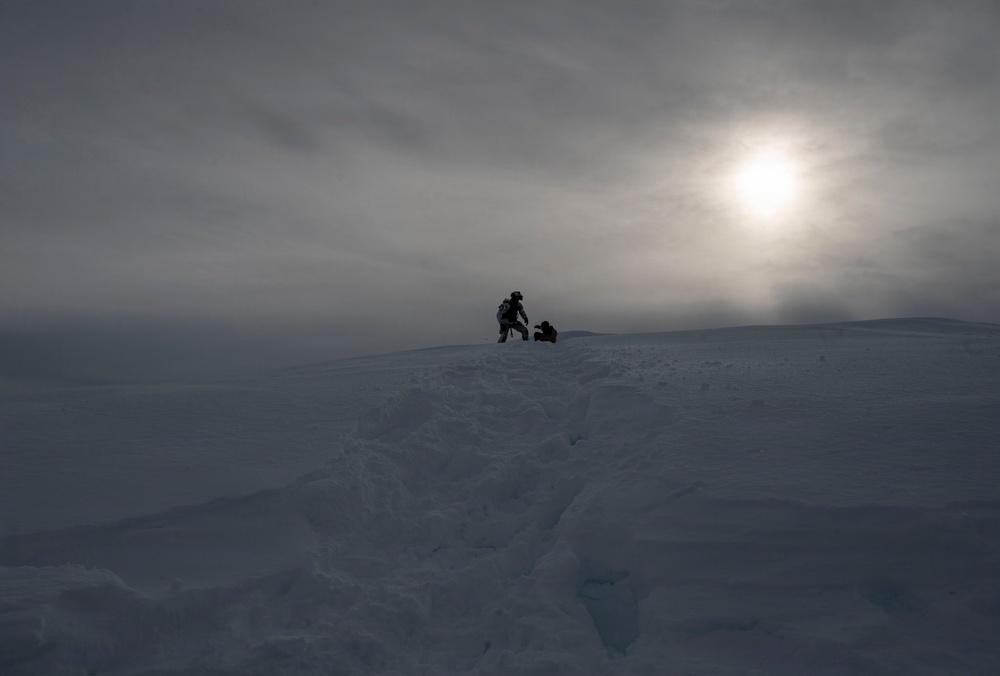 31 FW joins Swedish Rangers for CSAR training in the High North