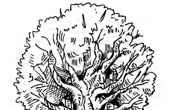 Invest in People Icon