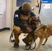 Exploring the bond with a Military Working Dog