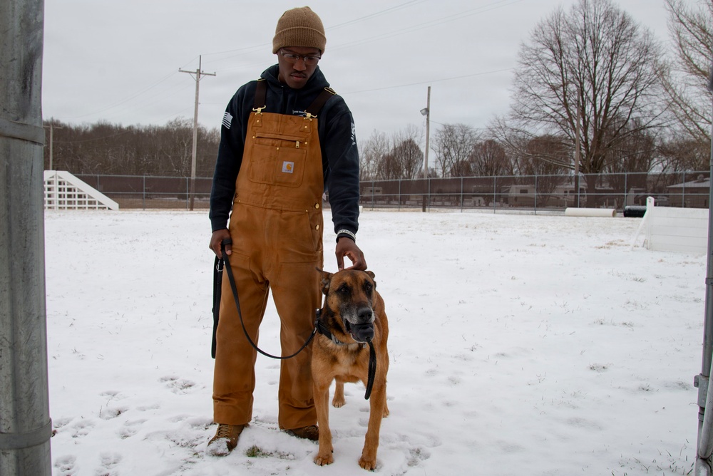Exploring the bond with a Military Working Dog