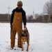 Exploring the bond with a Military Working Dog