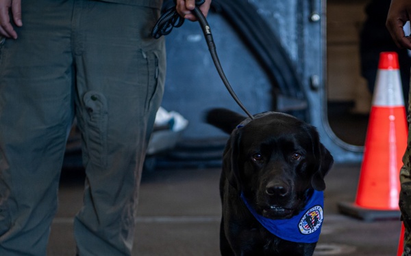 Poseidon Rejoins Nimitz