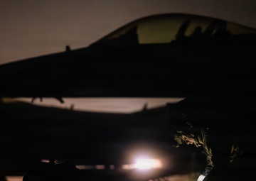 325th FW PAR sweeps during Noble Panther 26-4