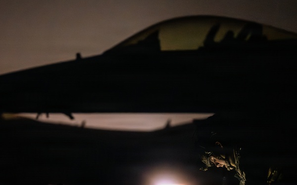 325th FW PAR sweeps during Noble Panther 26-4