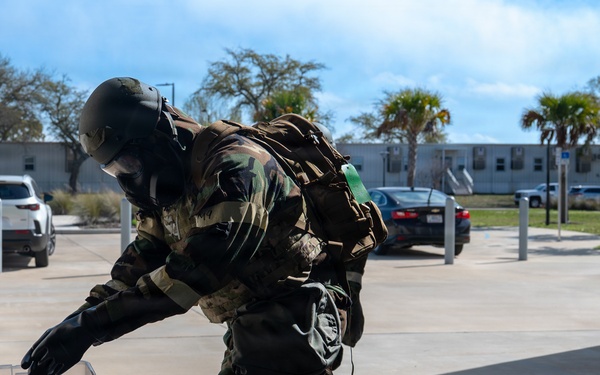 Tyndall Air Force Base takes part of Noble panther 26-4 PAR sweep exercise