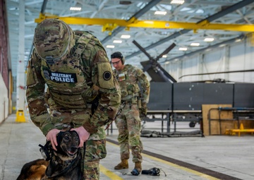 16th Combat Aviation Brigade and 95th Military Police K-9 teams train for rapid deployment