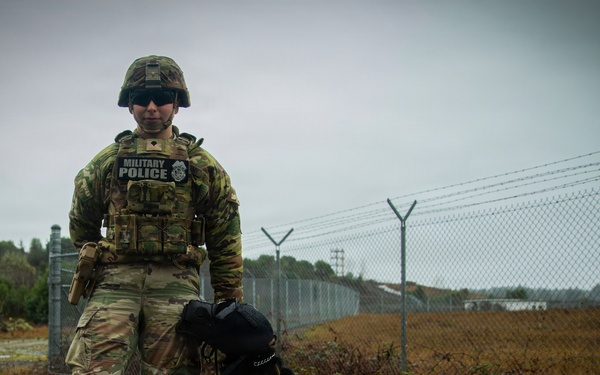 16th Combat Aviation Brigade and 95th Military Police K-9 teams train for rapid deployment
