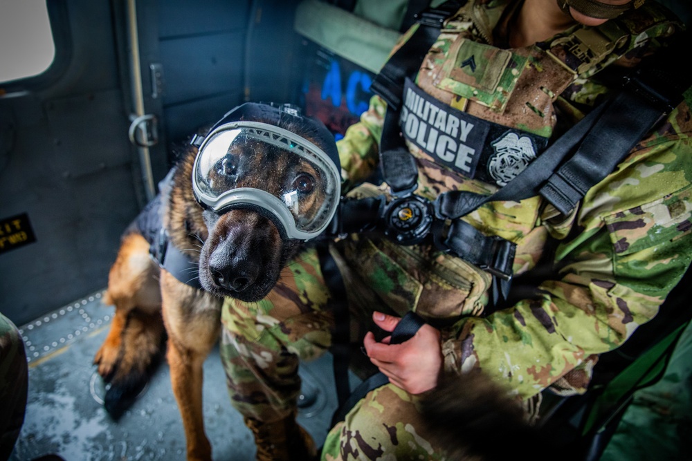 16th Combat Aviation Brigade and 95th Military Police K-9 teams train for rapid deployment