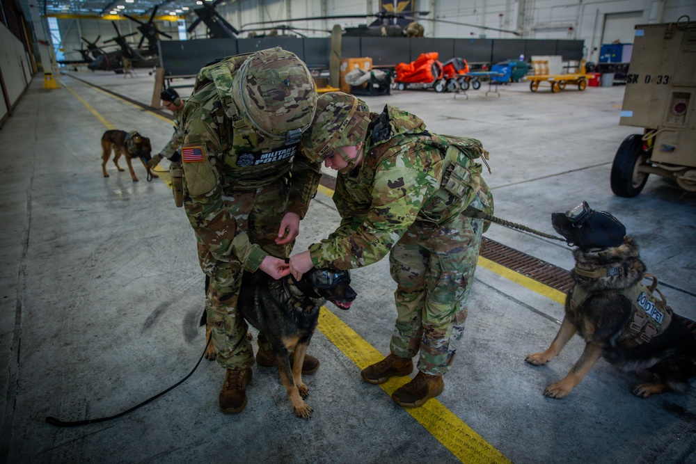 16th Combat Aviation Brigade and 95th Military Police K-9 teams train for rapid deployment