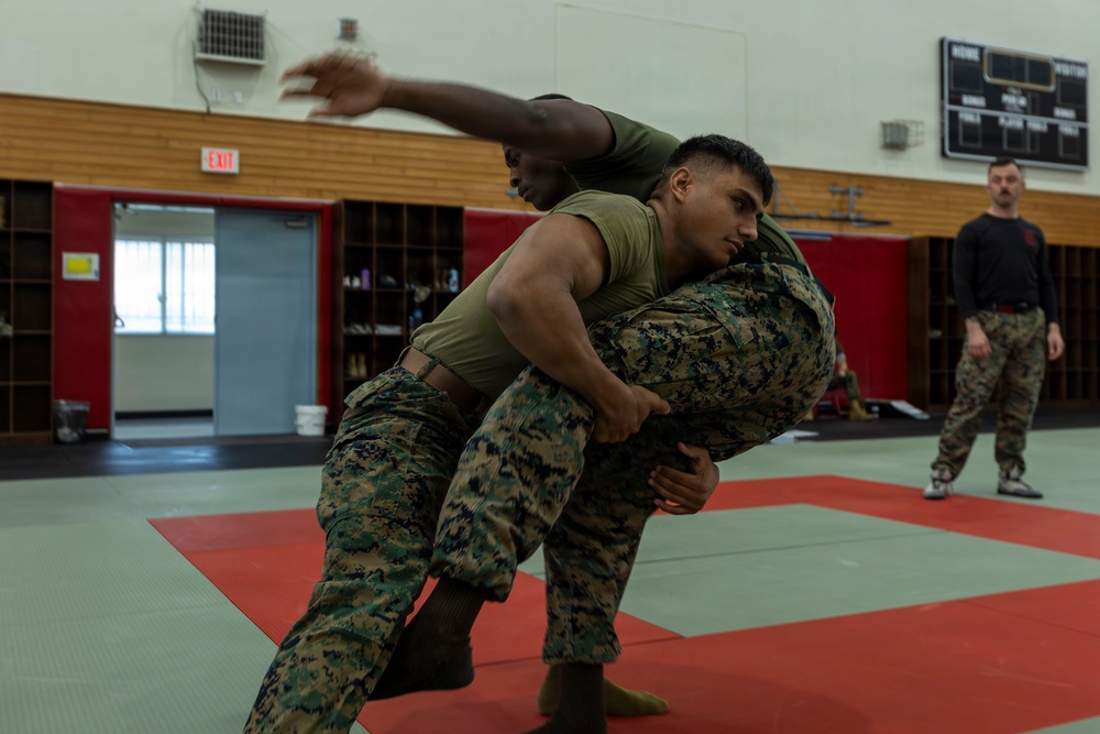 Marines participate in Marine Corps Martial Arts Program workshop