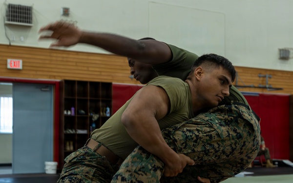 Marines participate in Marine Corps Martial Arts Program workshop