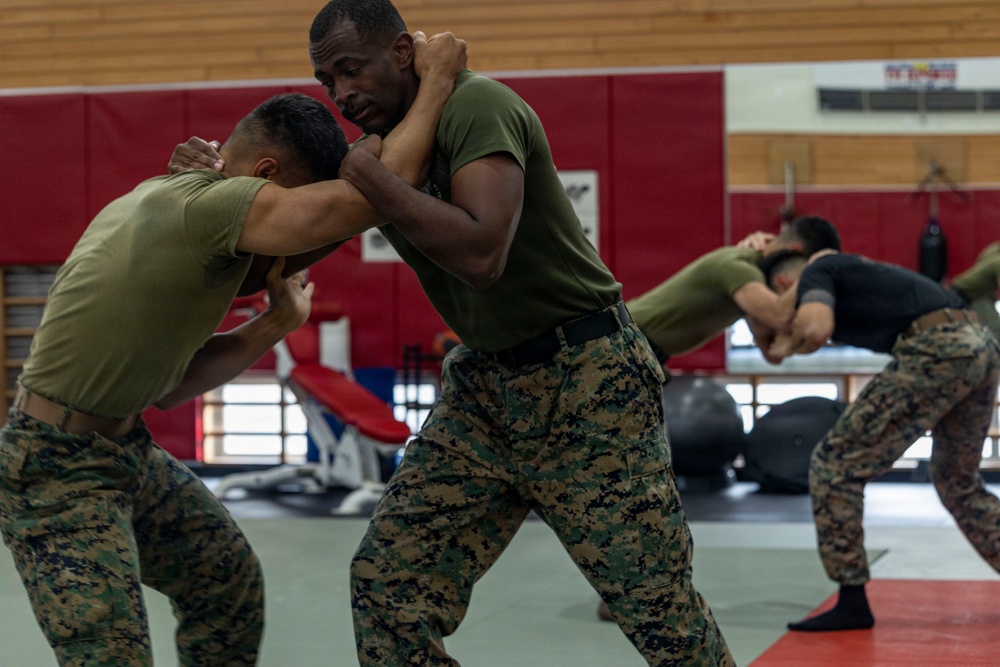 Marines participate in Marine Corps Martial Arts Program workshop