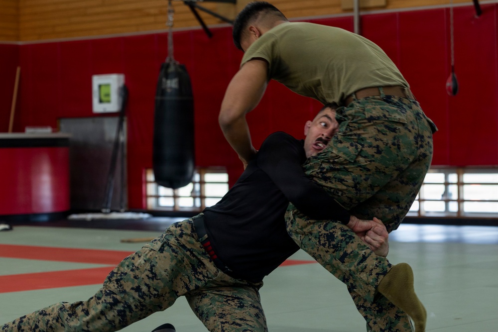 Marines participate in Marine Corps Martial Arts Program workshop