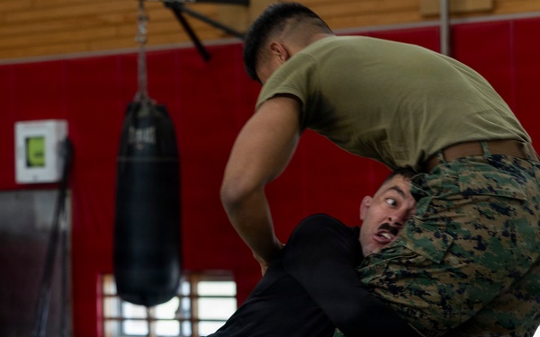 Marines participate in Marine Corps Martial Arts Program workshop