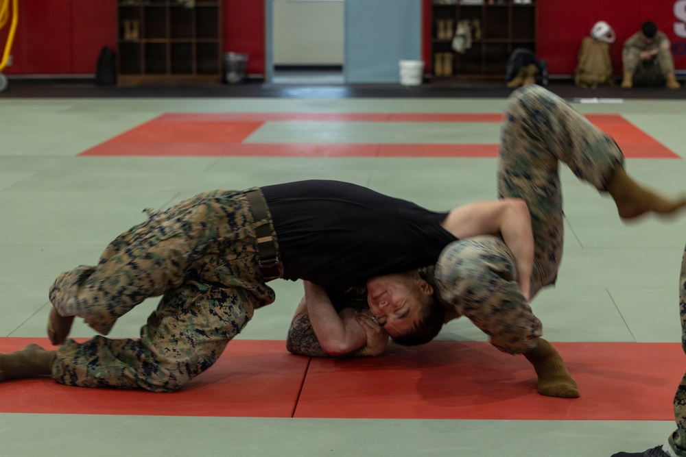 Marines participate in Marine Corps Martial Arts Program workshop