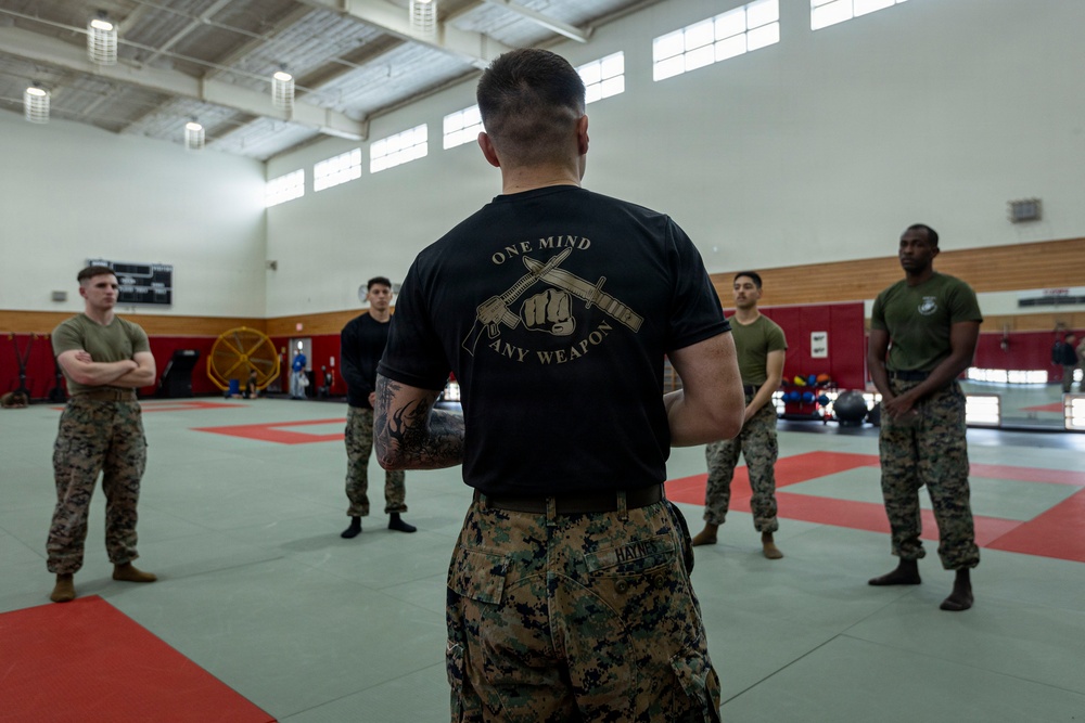 Marines participate in Marine Corps Martial Arts Program workshop