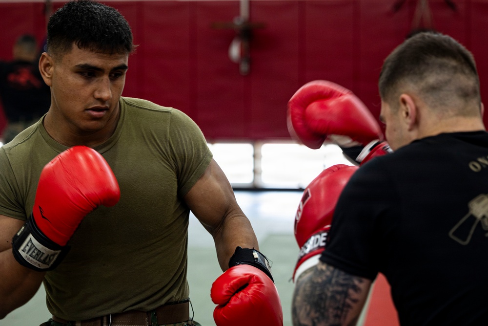 Marines participate in Marine Corps Martial Arts Program workshop