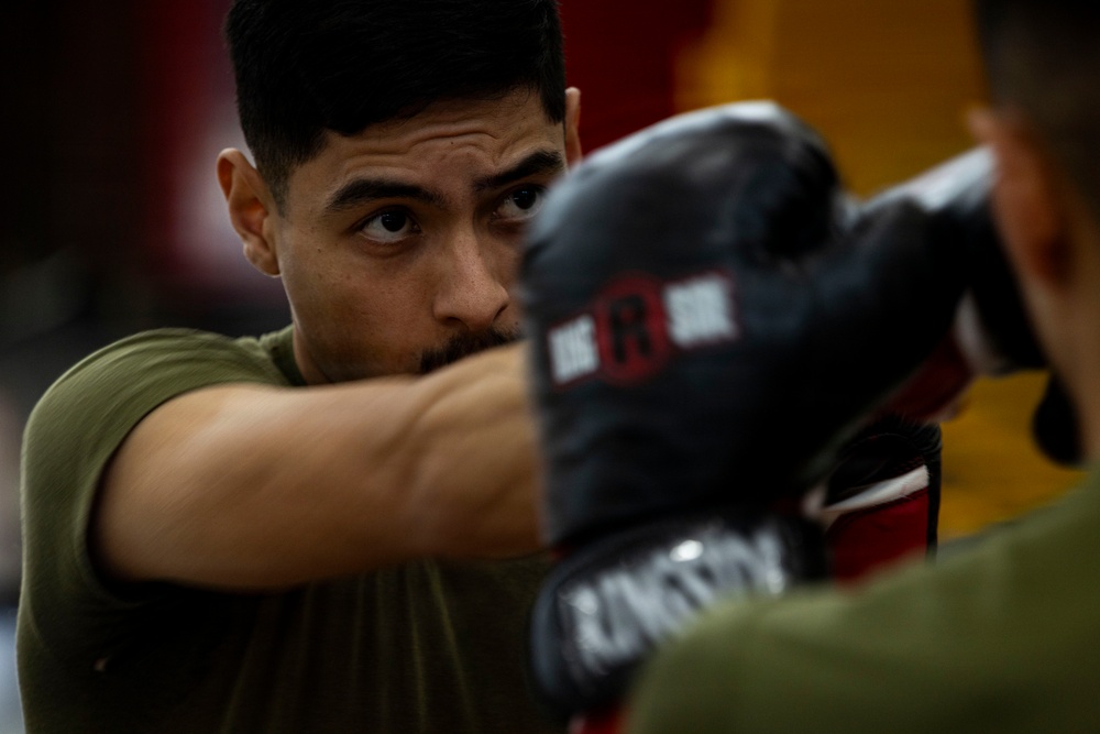 Marines participate in Marine Corps Martial Arts Program workshop