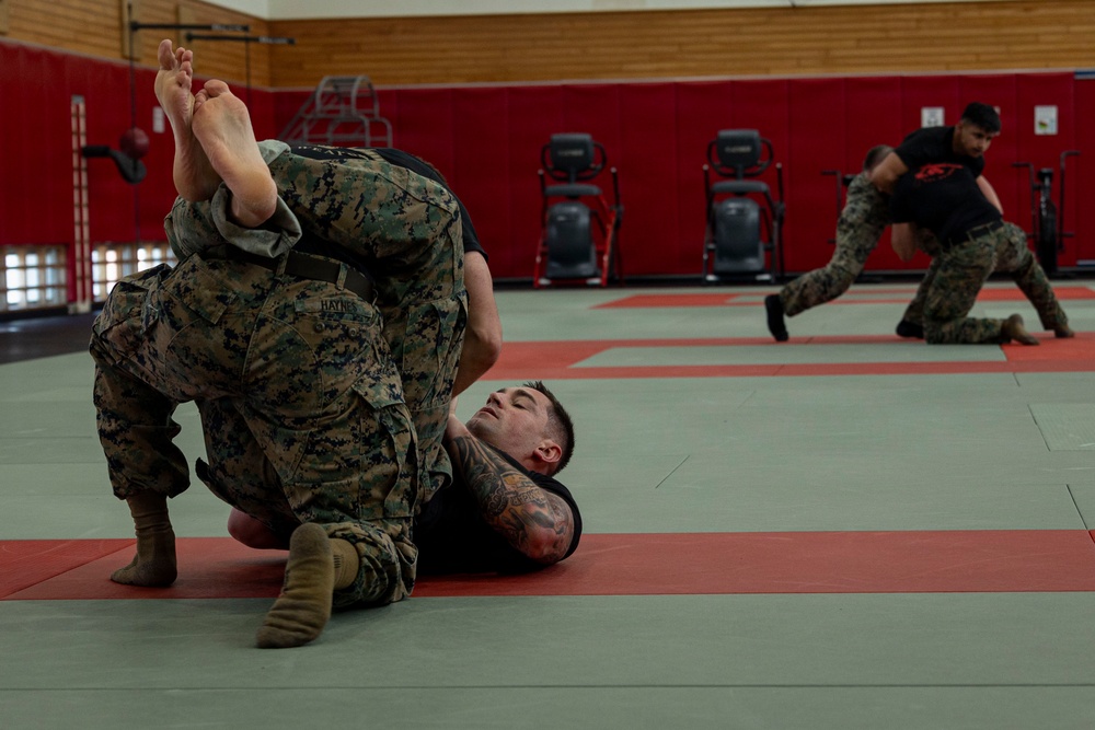 Marines participate in Marine Corps Martial Arts Program workshop