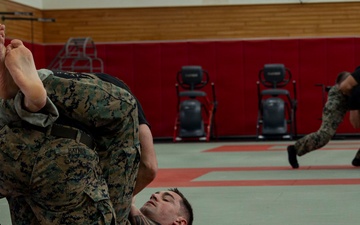 Marines participate in Marine Corps Martial Arts Program workshop