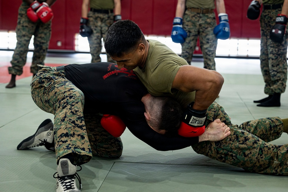 Marines participate in Marine Corps Martial Arts Program workshop