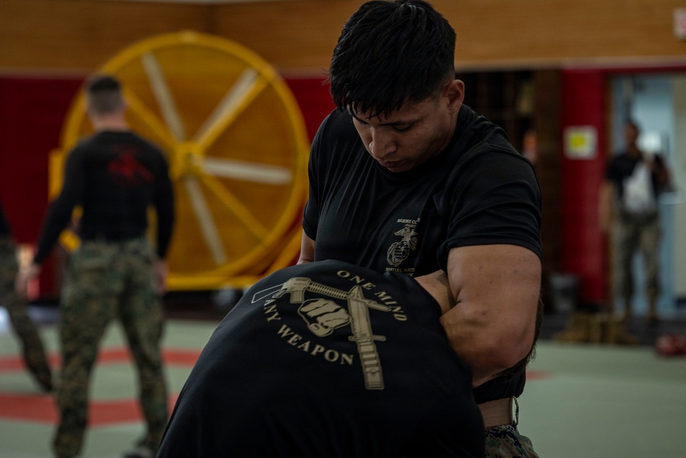 Marines participate in Marine Corps Martial Arts Program workshop