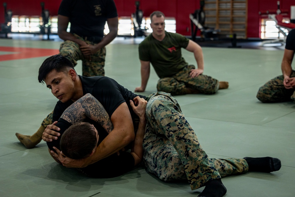 Marines participate in Marine Corps Martial Arts Program workshop