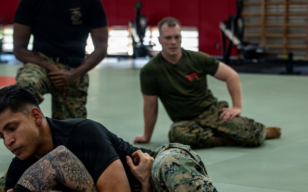 Marines participate in Marine Corps Martial Arts Program workshop