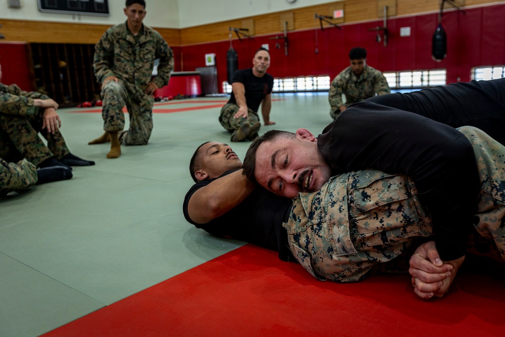 Marines participate in Marine Corps Martial Arts Program workshop