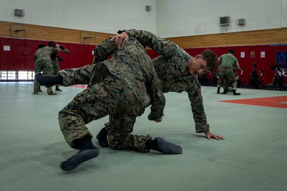 Marines participate in Marine Corps Martial Arts Program workshop
