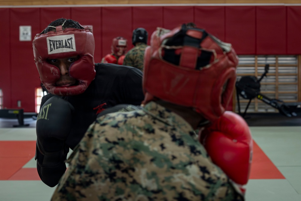Marines participate in Marine Corps Martial Arts Program workshop