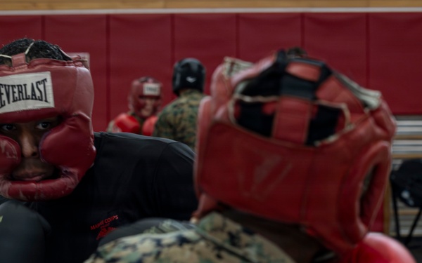 Marines participate in Marine Corps Martial Arts Program workshop