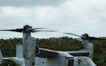 U.S. Marines and JGSDF Conduct Tactical Landings