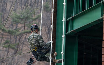 Battlefield Circulation 26: Day Two