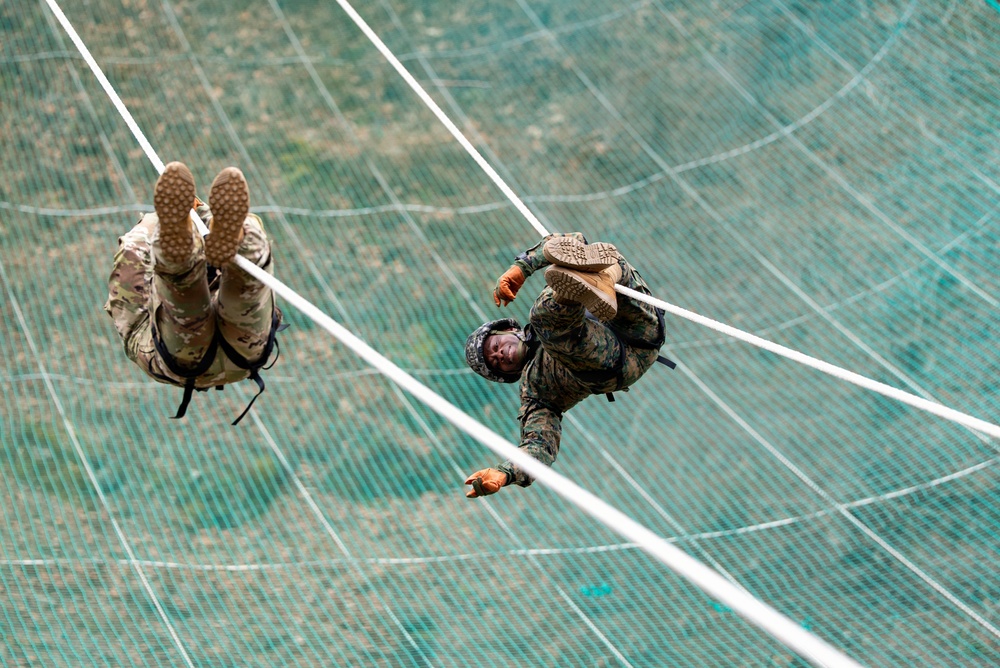 Battlefield Circulation 26: Day Two