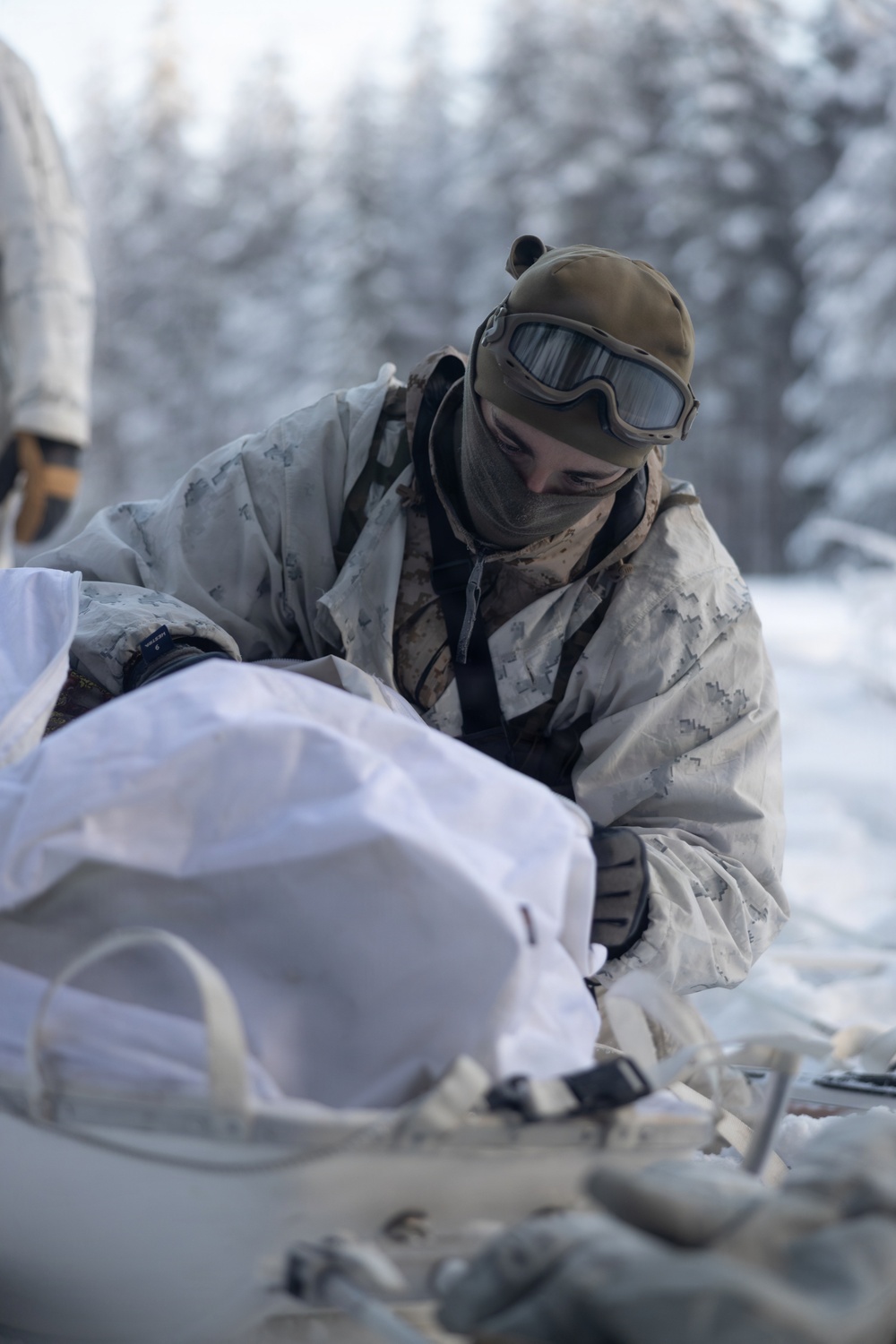 Recon Marines sharpen winter warfighting skills in Sweden
