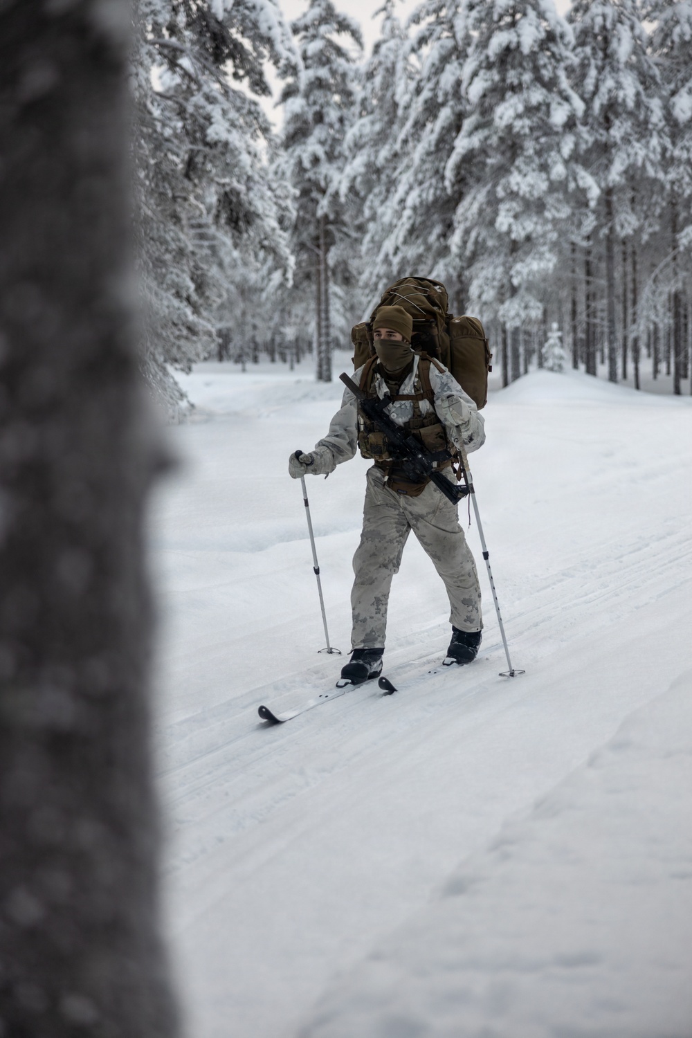Recon Marines sharpen winter warfighting skills in Sweden