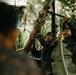 Task Force Ashland Marines Learn Jungle Survival Skills During Exercise Cobra Gold 26