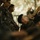 Task Force Ashland Marines Learn Jungle Survival Skills During Exercise Cobra Gold 26