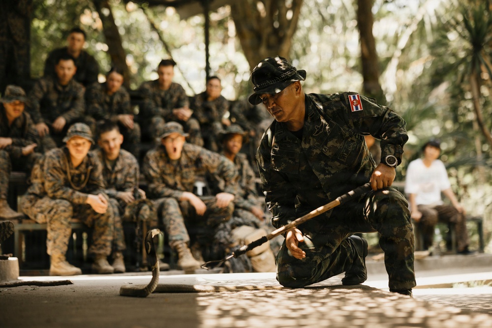 Task Force Ashland Marines Learn Jungle Survival Skills During Exercise Cobra Gold 26