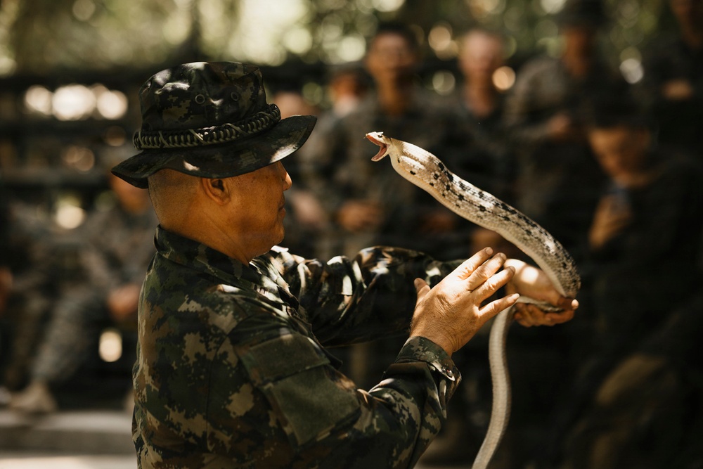 Task Force Ashland Marines Learn Jungle Survival Skills During Exercise Cobra Gold 26