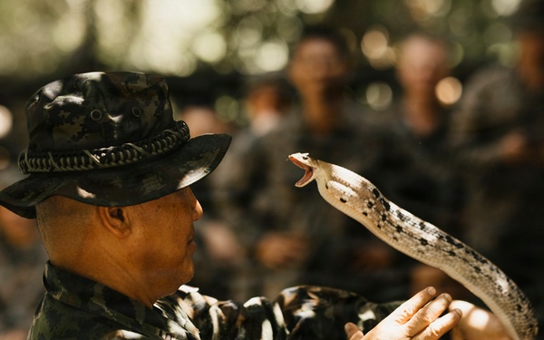Task Force Ashland Marines Learn Jungle Survival Skills During Exercise Cobra Gold 26