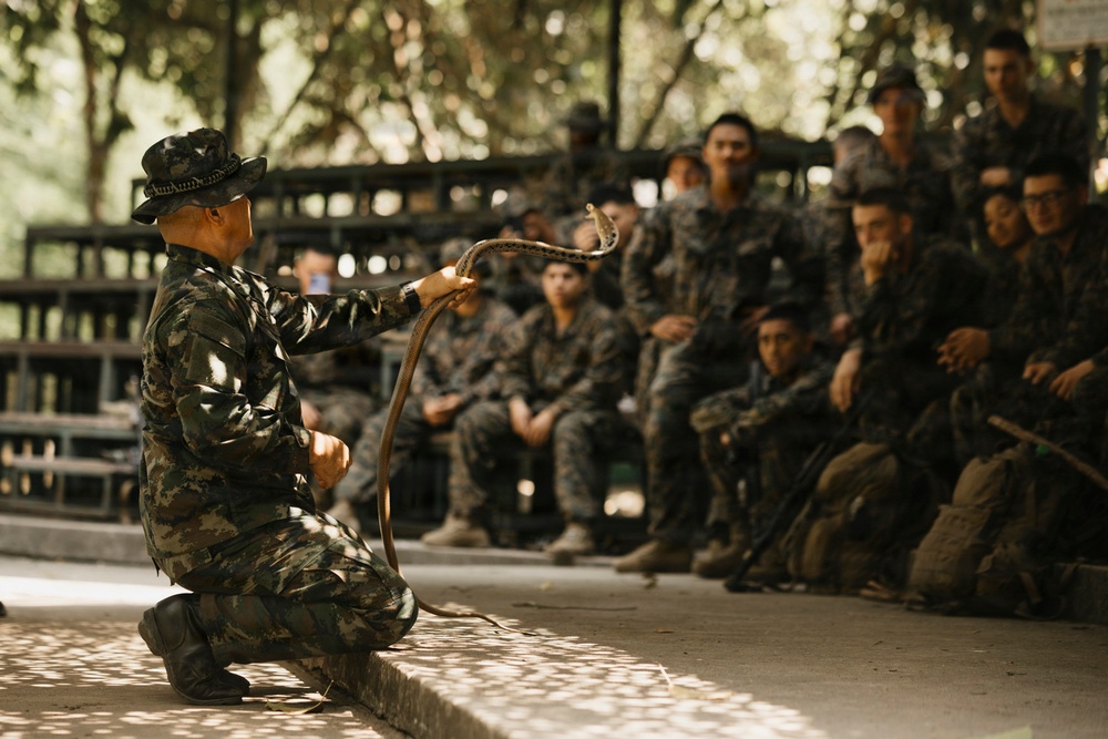 Task Force Ashland Marines Learn Jungle Survival Skills During Exercise Cobra Gold 26
