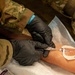 BM26: Airmen train to deliver lifesaving blood with Project Valkyrie