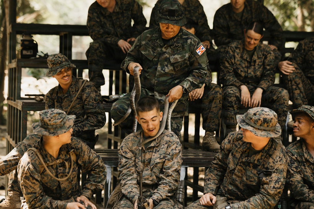 Task Force Ashland Marines Learn Jungle Survival Skills During Exercise Cobra Gold 26