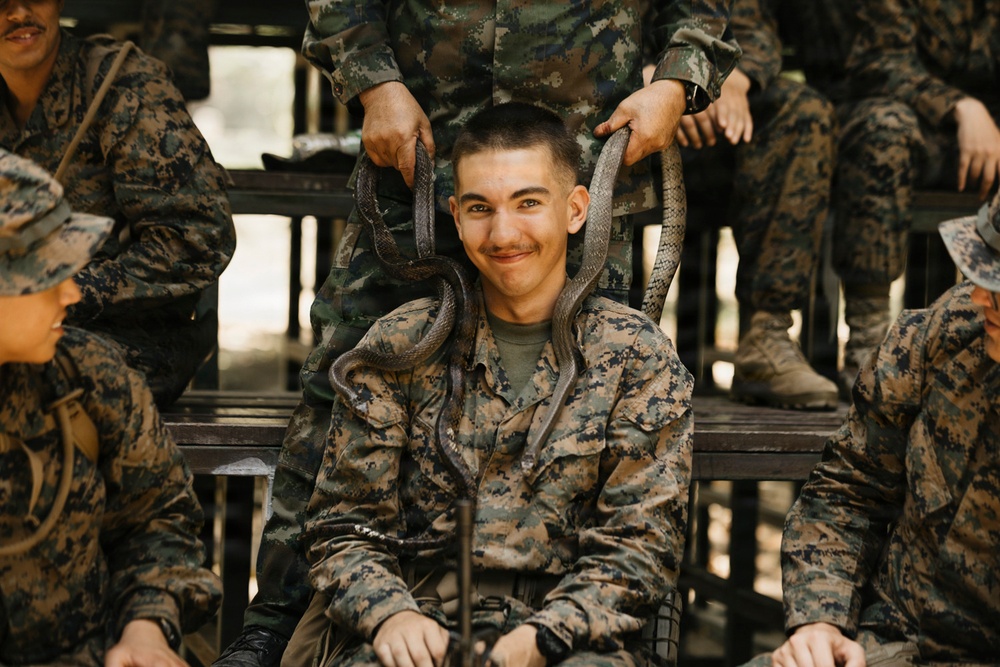 Task Force Ashland Marines Learn Jungle Survival Skills During Exercise Cobra Gold 26