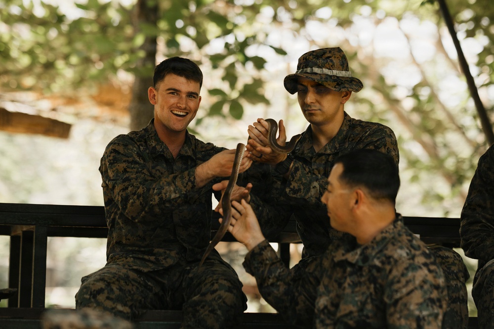 Task Force Ashland Marines Learn Jungle Survival Skills During Exercise Cobra Gold 26