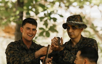 Task Force Ashland Marines Learn Jungle Survival Skills During Exercise Cobra Gold 26