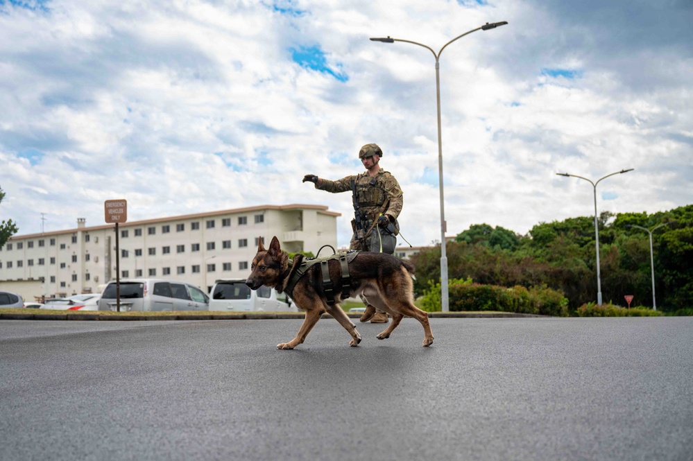 BM26: K-9 Unit dispatched after simulated attack