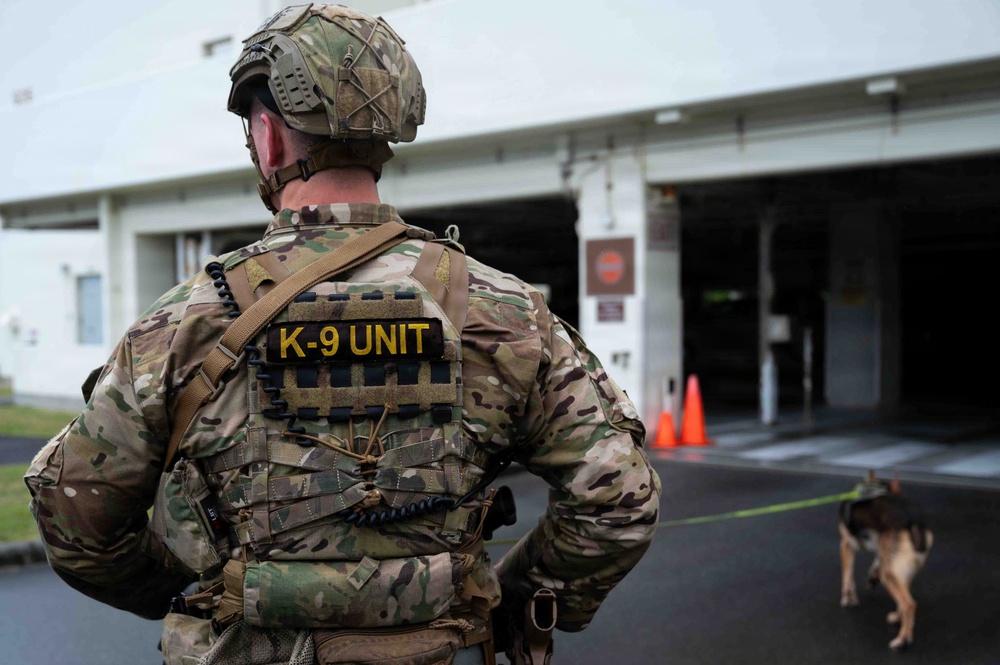 BM26: K-9 Unit dispatched after simulated attack